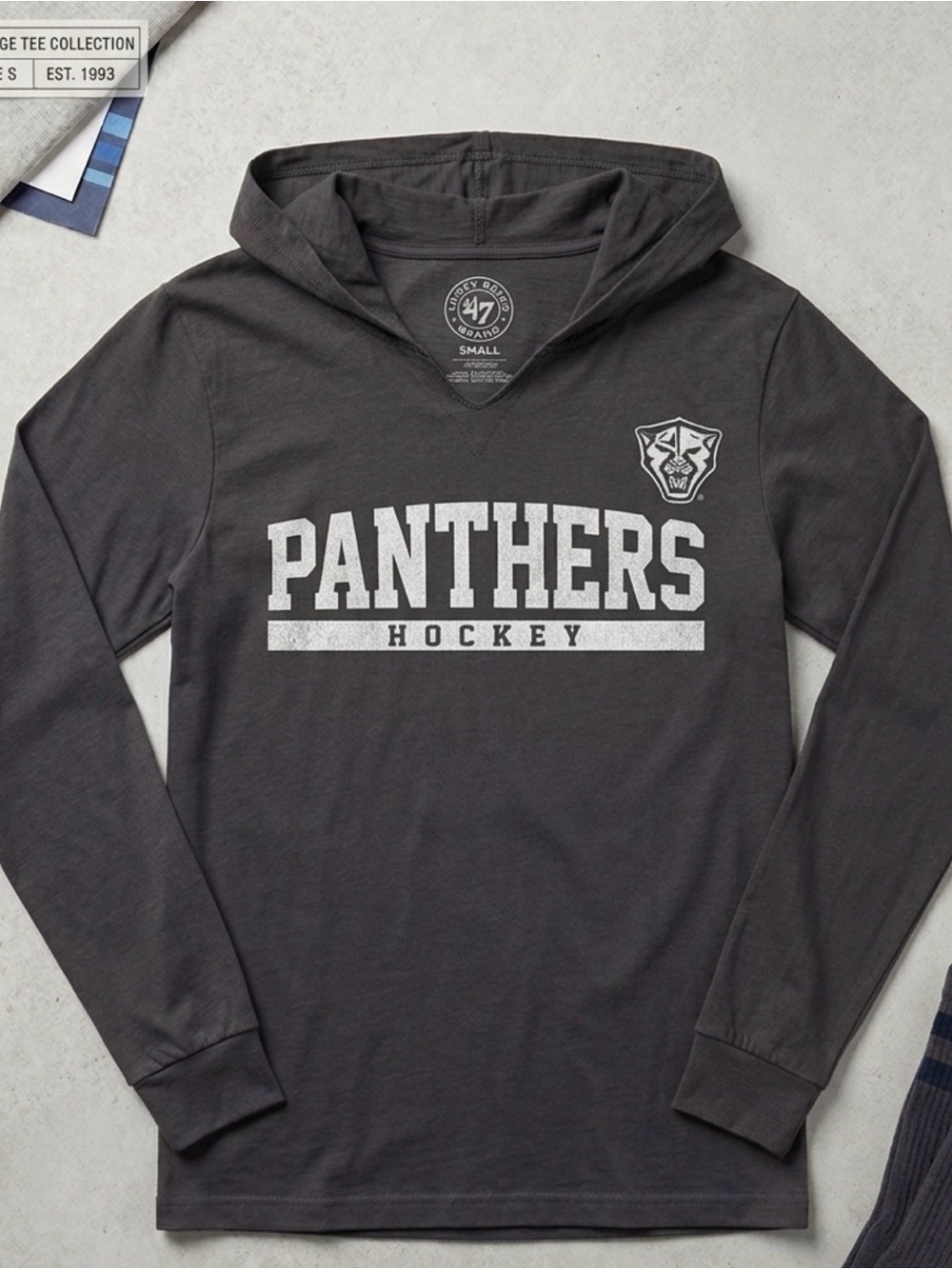47 Brand Panthers Hockey Charcoal Hoodie